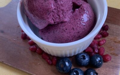 Blueberry and Pomegranate Sorbet